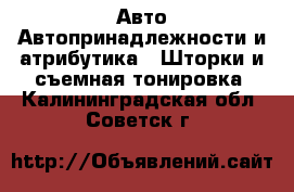 Авто Автопринадлежности и атрибутика - Шторки и съемная тонировка. Калининградская обл.,Советск г.